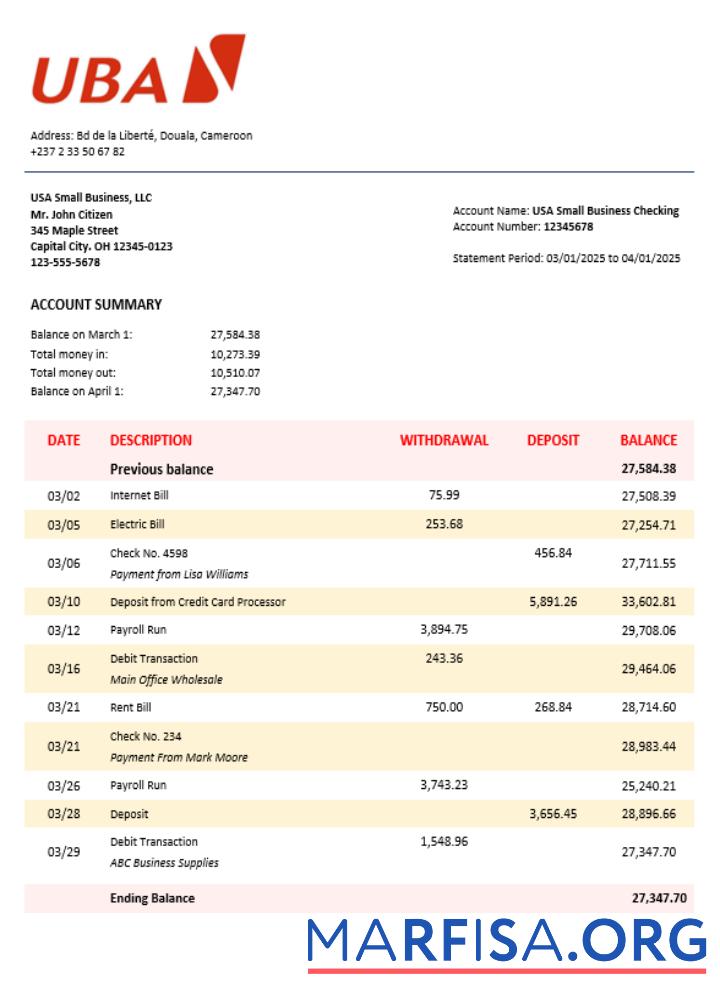 Downloadable UBA company statement Word and PDF format template